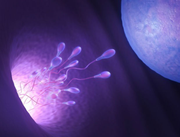 Mutagenic research colchicine human sperm