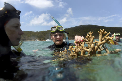 In this Friday Nov. 25, 2016, photo Australian senator Pauline Hanson listens to marine scientist Alison Jones, left, as she displays a piece of coral on the Great Barrier Reef off Great Keppel Island, Queensland, Australia. Australian scientists say warming oceans year 2016 have caused the biggest die-off of corals ever recorded on Australia's Great Barrier Reef. The Australian Research Council Centre of Excellence for Coral Reef Studies said Tuesday, Nov. 29, 2016, that the worst-affected area was a 700-kilometer (400-mile) swath in the north of the World Heritage-listed 2,300-kilometer (1,400-mile) chain of reefs off Australia's northeast coast. AP 