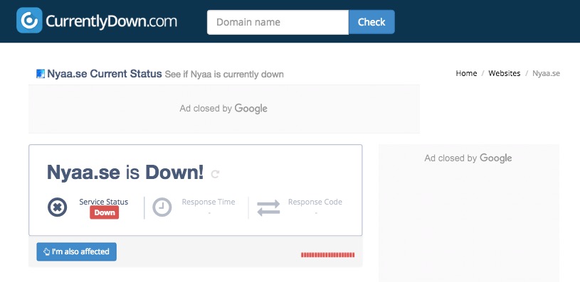 NYAA is down! Image: CurrentlyDown