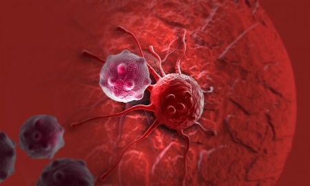 cancer cells