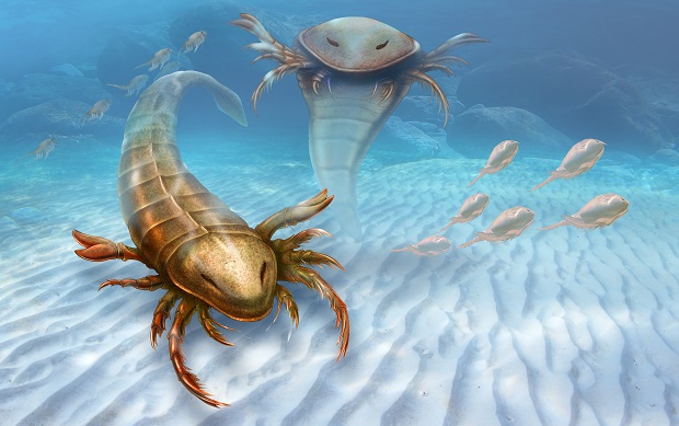 Monster Sea Bug