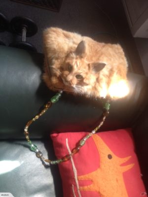 cat fur bag TradeMe