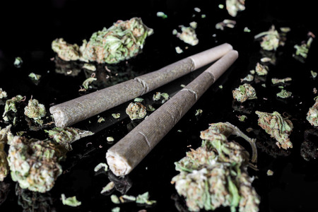 55433003 - two medical cannabis rolled joints with dried marijuana buds around on black background from side high angle