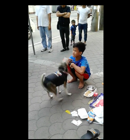 WATCH: Dancing pooch, owner at Manila LRT station awe netizens ...