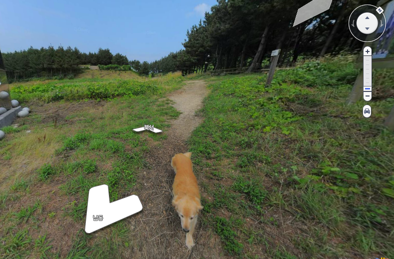 Jukdo island, dog, street view maps, South Korea
