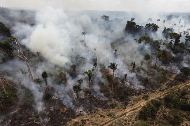 Brazil forest fire