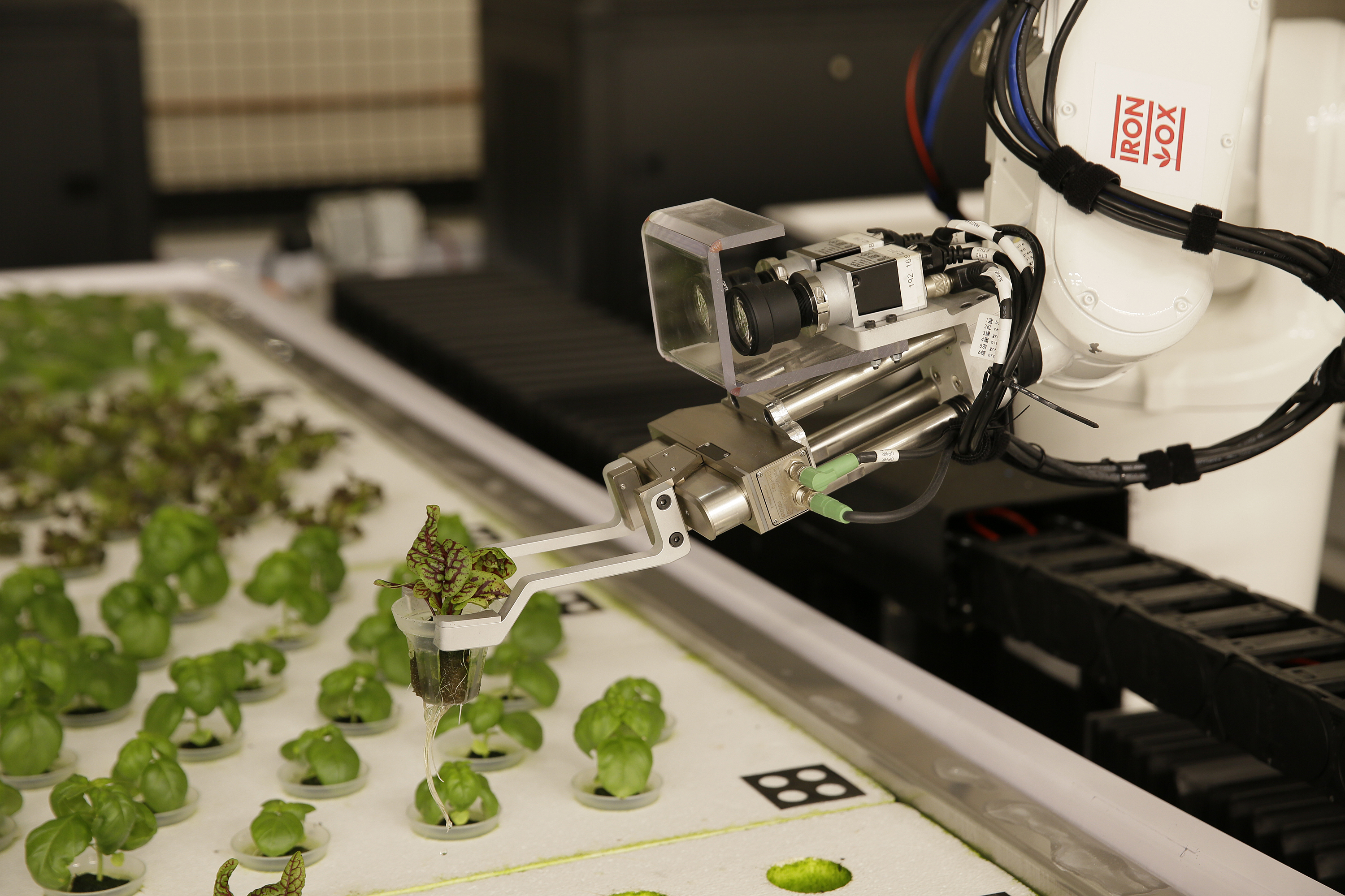 Нанотехнологии в промышленности. Нанотехнологии в робототехнике. Роботизированные фермы. Роботы в сельском хозяйстве. Робототехника в сельском хозяйстве.