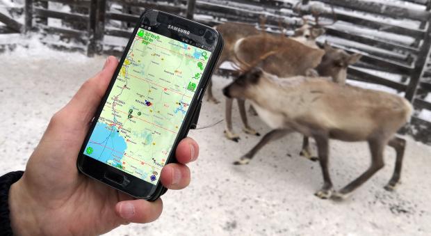 Smartphone with wireless reindeer tracking app