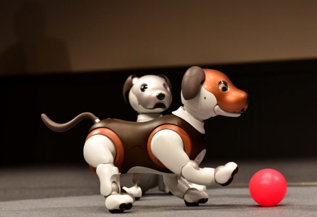 Paw patrol: Sony offers robocop dog at home