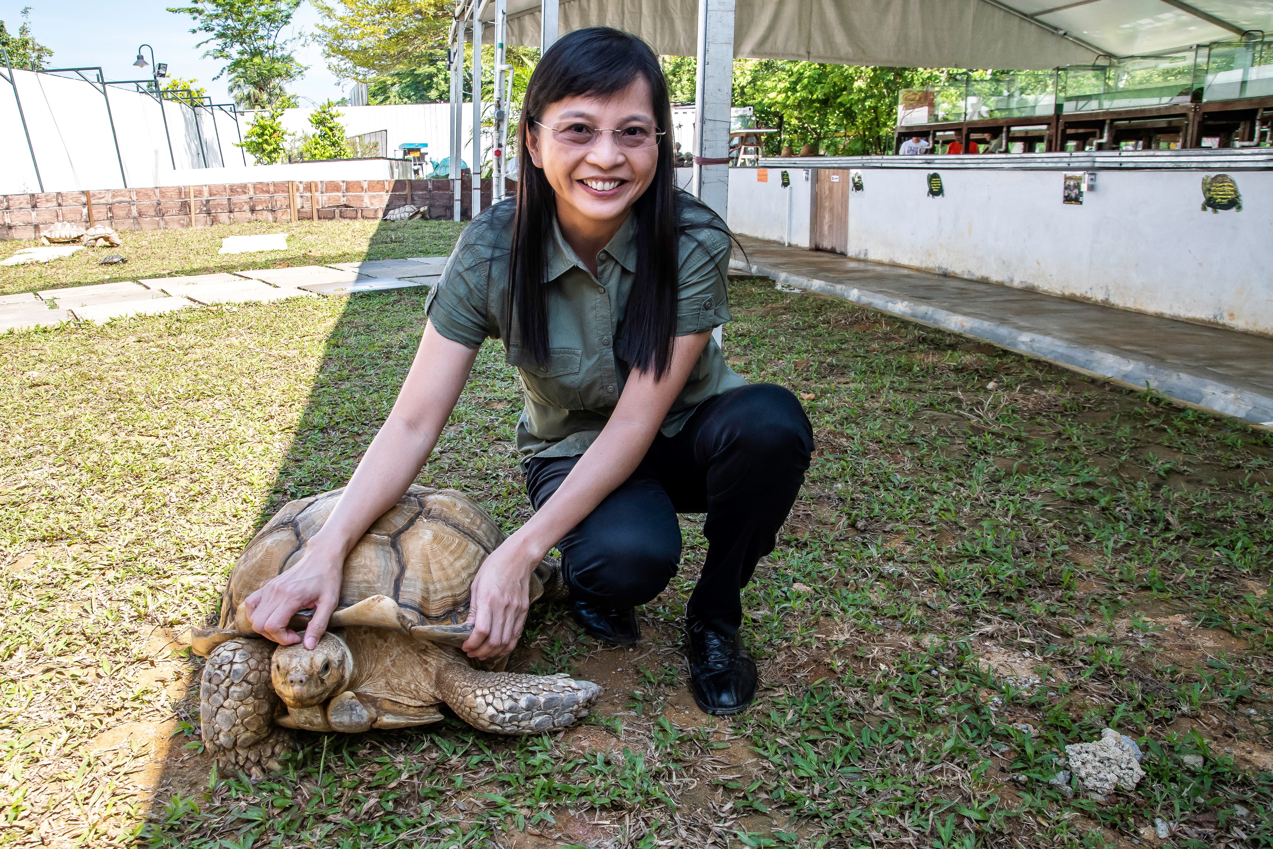 Crawling to extinction: Singapore turtle haven fights for life