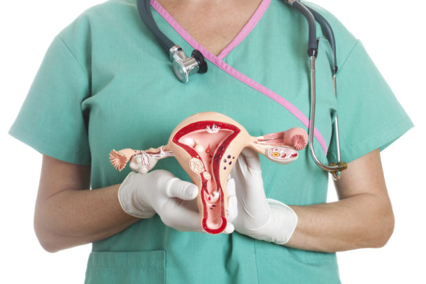 postmenopause uterus