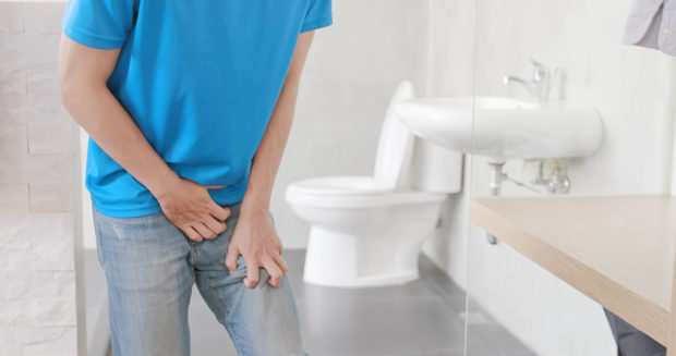 bladder, urine