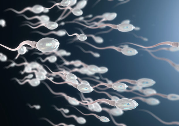 Human sperm count decreasing, penis decreasing at alarming rates, warns the scientist