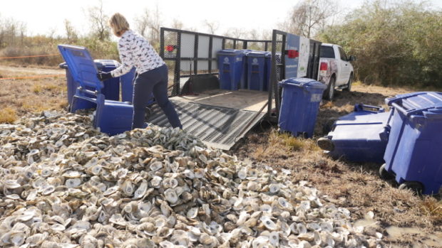 US-ENVIRONMENT-RESTAURANTS-OYSTERS