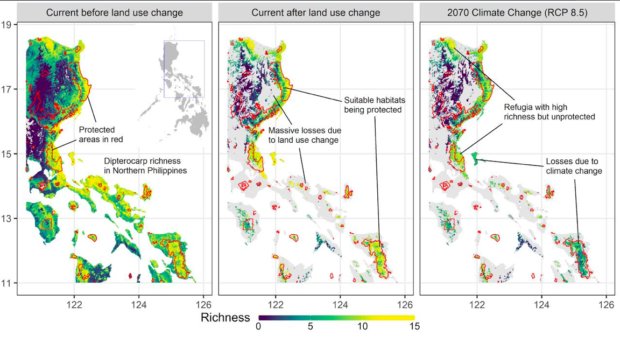 0201jhesset-map: Species distribution models created by scientists from the National University of Singapore showed huge losses of dipterocarp ranges due to deforestation. Much of the most species-rich areas projected by 2070 are also outside the current protected areas network in the Philippines
