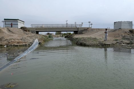 Ancient Mesopotamian marshes threatened by Iraqi sewage, pollutants