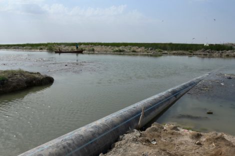 Ancient Mesopotamian marshes threatened by Iraqi sewage, pollutants