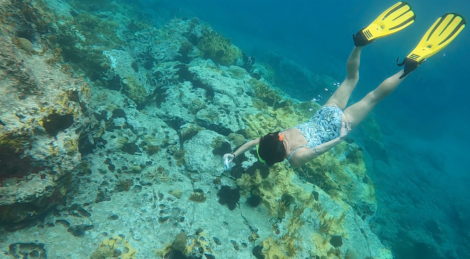 New coral reef restoration technology aims to reverse climate change damage