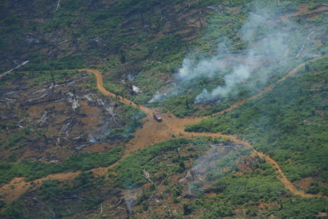 Deforestation of Brazilian Amazon rises in September -satellite data