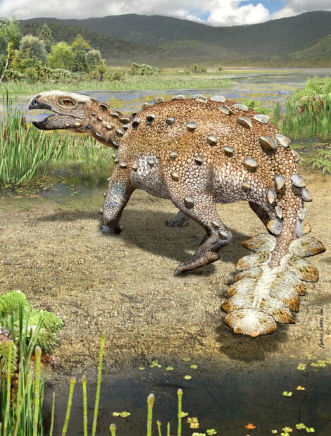 Armored dinosaur wielded a tail resembling an Aztec war club