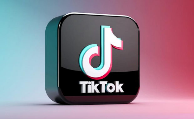 TikTok: Video Hosting Platform for Short Clips