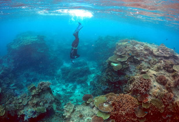 FILE PHOTO: Oliver Lanyon, Senior Ranger in the Great Barrier Reef region for the Queenlsand Parks and Wildlife Service, takes photographs and notes during an inspection of the reef's condition in an area called the 'Coral Gardens' located at Lady Elliot Island and 80 kilometers north-east from the town of Bundaberg in Queensland, Australia, June 11, 2015.  REUTERS/David Gray