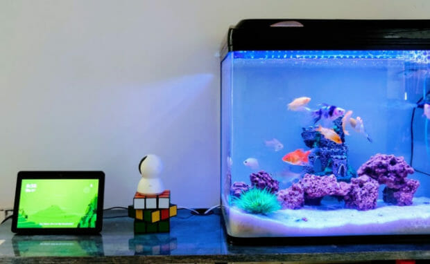 This is an aquarium and a tablet.