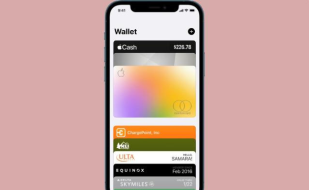 This is the Apple Wallet.