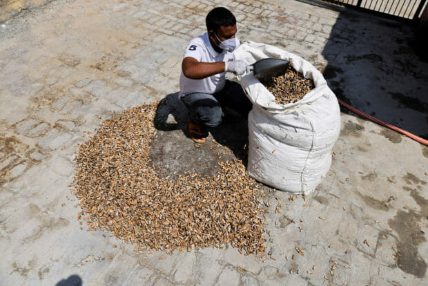 Indian businessman turns cigarette butts into soft toys in Noida