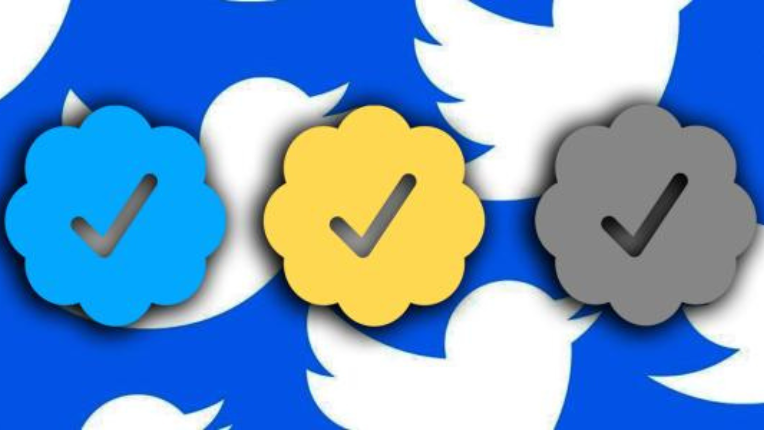 Twitter to launch a new multicoloured verification system soon