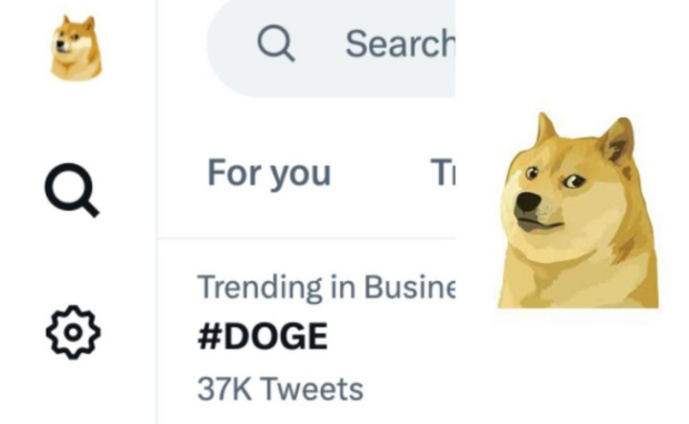 This is the Twitter Dogecoin logo.