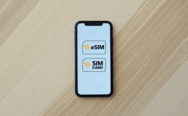Types of eSIMs - Regional, global, and data-specific options
