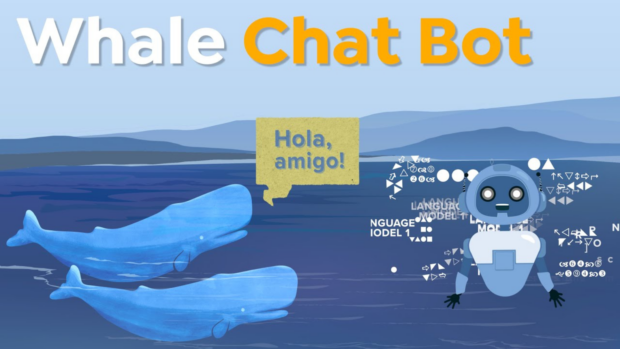 Unlocking the Secrets of the Sea: How AI Powers a Revolutionary Whale Translator App