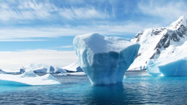 How Climate Change is Affecting the Stunning Flora of Antarctica