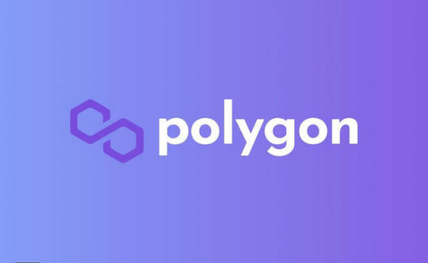 This represents the Polygon cryptocurrency.