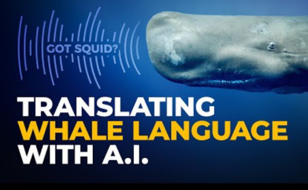 Visualization of AI Technology for Whale Translation