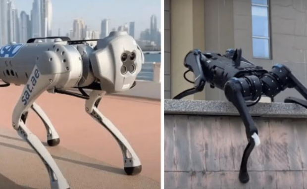 Researchers Training AI Robodogs