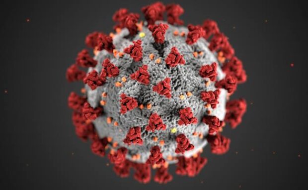 Learn about the latest virus-fighting techniques and innovations, providing crucial information for staying ahead in the battle against infectious diseases.