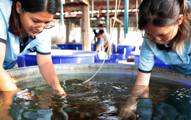 Marine biologists work at research center on Man Nai
