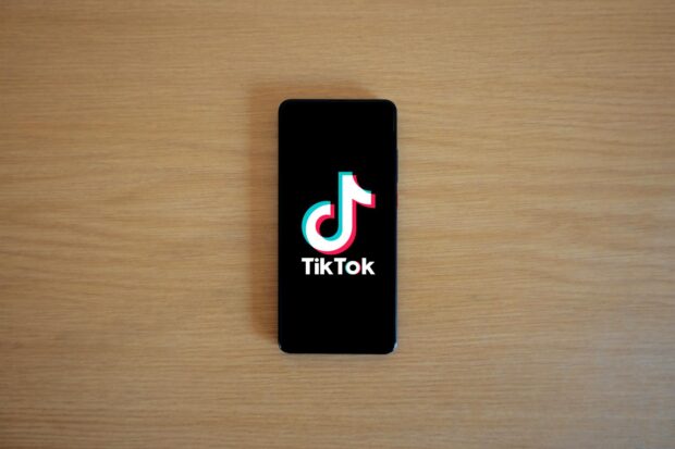 This represents TikTok Digital Avatars.