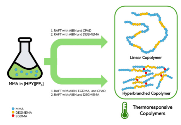 Synthesis ng dalawang magkaibang arkitektura ng mga copolymer ng MMA at DEGMEMA gamit ang RAFT polymerization sa (HPY)(PF6). (Photo credit: Madrid et al., 2024)