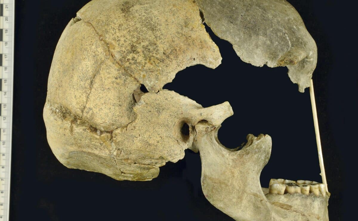 Ancient genes identify when humans and Neanderthals mixed and mingled