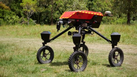 ‘SMART COW’ University of Sydney’s autonomous robot“SwagBot” moves around a field in Allynbrook, Australia, inthis photo taken on Nov. 22. 