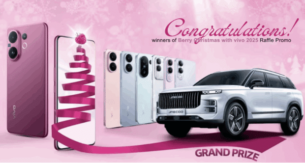 vivo Berry Christmas