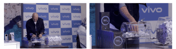 vivo Berry Christmas