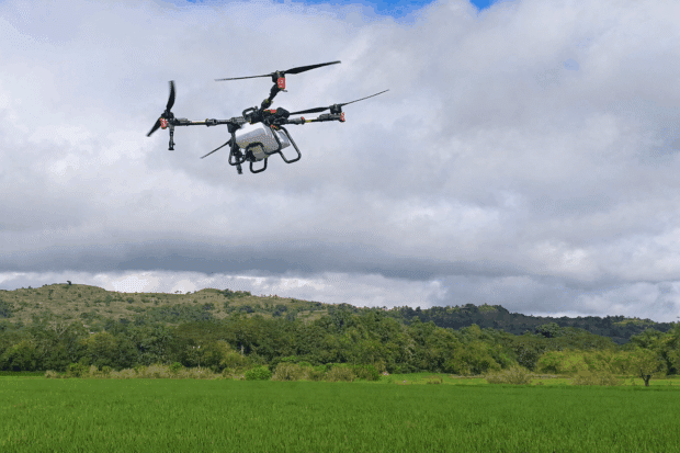 The Department of Agriculture (DA) Cagayan Valley is offering the use of its drone in drawing maps and applying fertilizers in farms across the region. DA Regional Executive Director Rose Mary Aquino said the drone services for biofertilizer utilization under the Masagana Rice Industry Development Program aim to enhance rice productivity and promote sustainable agriculture in Cagayan Valley. (Photo courtesy of Philippine Information Agency)