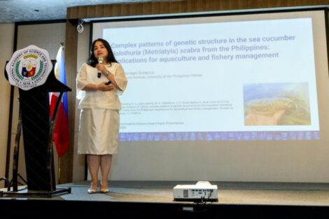 UP Sea Cucumber study wins 2026 Environmental Science award